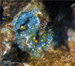 Mineralien Mansfelder Revier Kupferkammerhütte Hettstedt Connellit