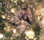 Mineralien Mansfelder Revier Kupferkammerhütte Hettstedt Elyit