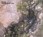 Harz Mineralien Gabbro Epidot