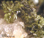 Harz Mineralien Gabbro Epidot