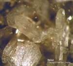 Harz Mineralien Steinbruch Gabbro Stilbit