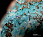 Harz Mineralien Glockenhütte Aurichalcit