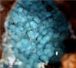 Harz Mineralien Glockenhütte Aurichalcit