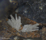 Harz Mineralien Glockenhütte Cerussit