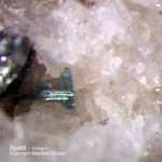 Eifel Mineralien Bellerberg Apatit