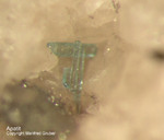 Eifel Mineralien Bellerberg Apatit