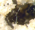 Eifel Mineralien Bellerberg Apatit