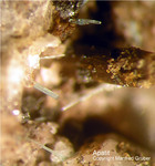 Eifel Mineralien Bellerberg Apatit