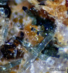 Eifel Mineralien Bellerberg Apatit