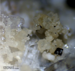 Eifel Mineralien Bellerberg Chlormayenit