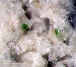 Eifel Mineralien Bellerberg Diopsit