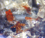 Eifel Mineralien Bellerberg Ferrosilit