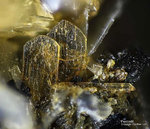 Eifel Mineralien Bellerberg Ferrosilit