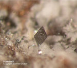 Eifel Mineralien Bellerberg Haematit