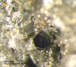 Eifel Mineralien Bellerberg Haematit