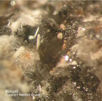 Eifel Mineralien Bellerberg Korund