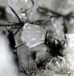 Eifel Mineralien Bellerberg Nosean