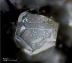 Eifel Mineralien Bellerberg Nosean