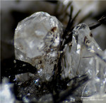 Eifel Mineralien Bellerberg Nosean