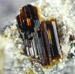 Eifel Mineralien Bellerberg Phlogopit