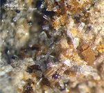 Eifel Mineralien Bellerberg Phillipsit