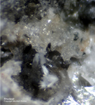 Eifel Mineralien Bellerberg Rhodesit