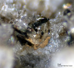 Eifel Mineralien Bellerberg Rutil