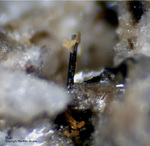 Eifel Mineralien Bellerberg Rutil