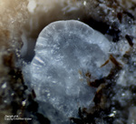 Eifel Mineralien Bellerberg Zeophyllit