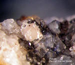 Eifel Mineralien Bellerberg Zirkon