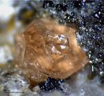 Eifel Mineralien Bellerberg Zirkon