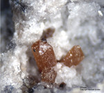 Eifel Mineralien Bellerberg Zirkon