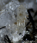 Eifel Mineralien Bellerberg Zirkon