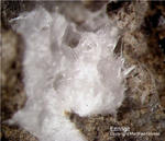 Eifel Mineralien Concordiahütte Eschweiler Ettringit