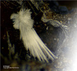 Eifel Mineralien Concordiahütte Eschweiler Ettringit