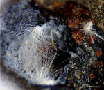 Eifel Mineralien Concordiahütte Eschweiler Ettringit