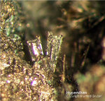 Eifel Mineralien Kall Hypersthen