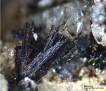 Eifel Mineralien Mendig Mendigit