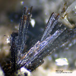 Eifel Mineralien Mendig Mendigit