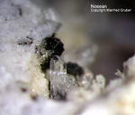 Eifel Mineralien Mendig Nosean