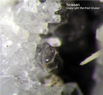 Eifel Mineralien Mendig Nosean