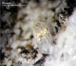 Eifel Mineralien Mendig Nosean