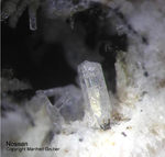 Eifel Mineralien Mendig Nosean