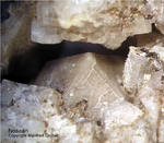 Eifel Mineralien Mendig Nosean