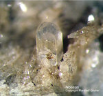 Eifel Mineralien Mendig Nosean