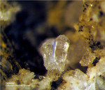 Eifel Mineralien Mendig Nosean