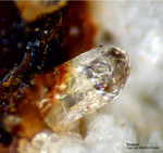 Eifel Mineralien Mendig Nosean