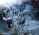 Eifel Mineralien Mendig Opal (Hyalit)