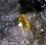 Eifel Mineralien Mendig Titanit