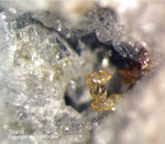 Eifel Mineralien Mendig Titanit